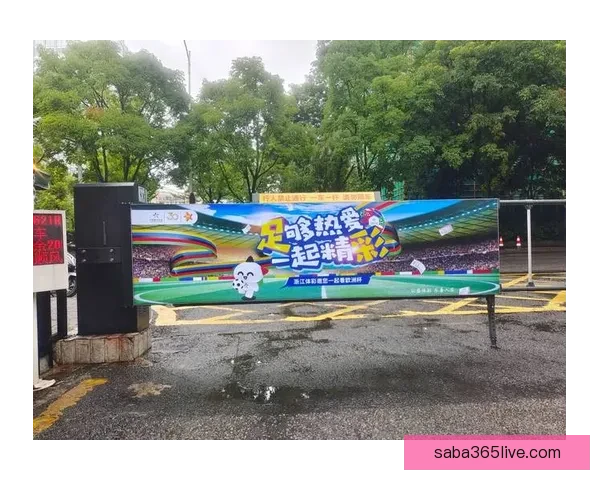 沙巴体育世界杯投注攻略全面解析与投注技巧分享